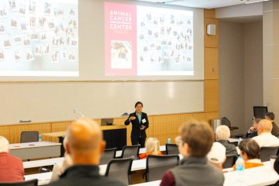 College and Program Spotlights