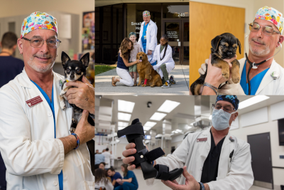 Photos of Mark Freeman in the Veterinary Teaching Hospital